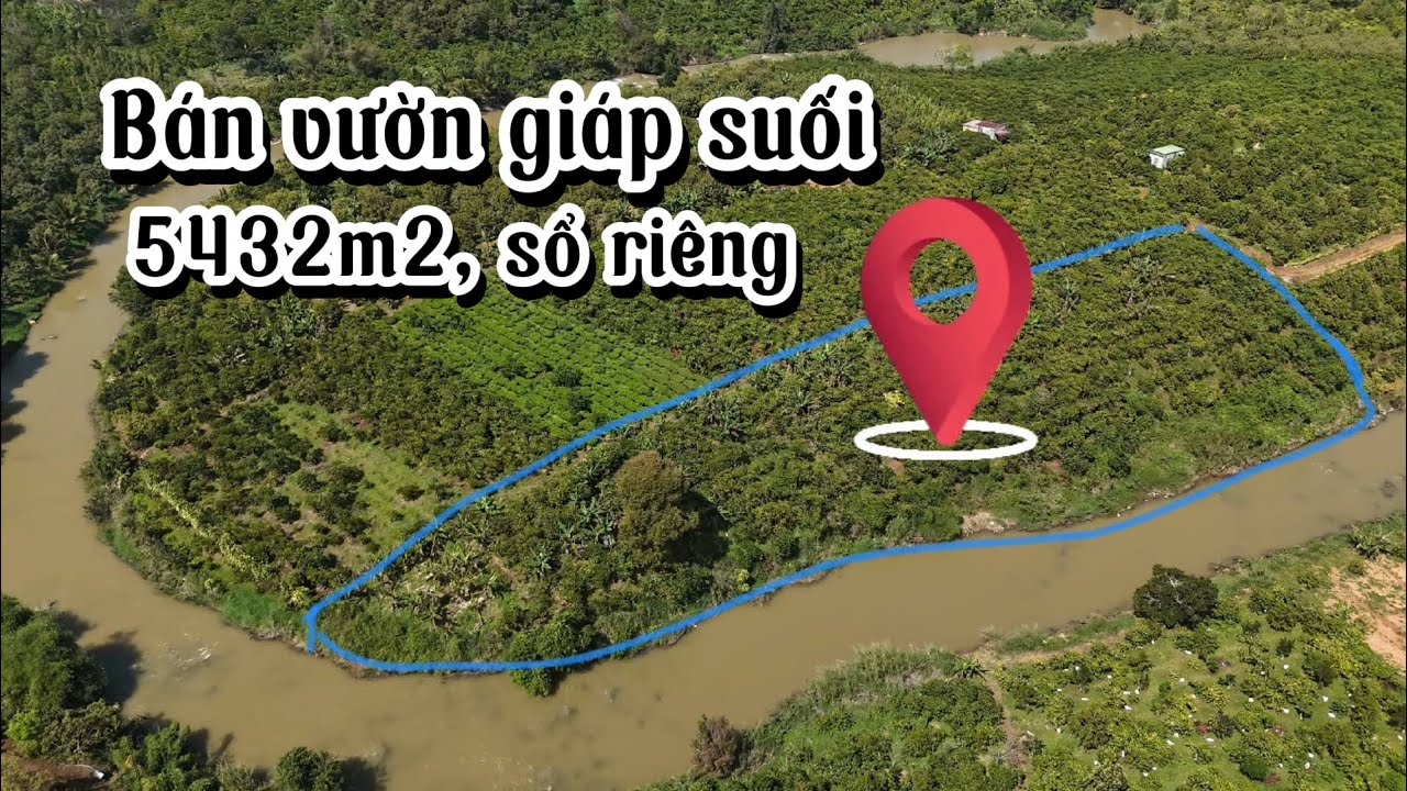Bán vườn cafe giáp suối tuyệt đẹp|| Đường xe hơi tận nơi|| View thoáng 