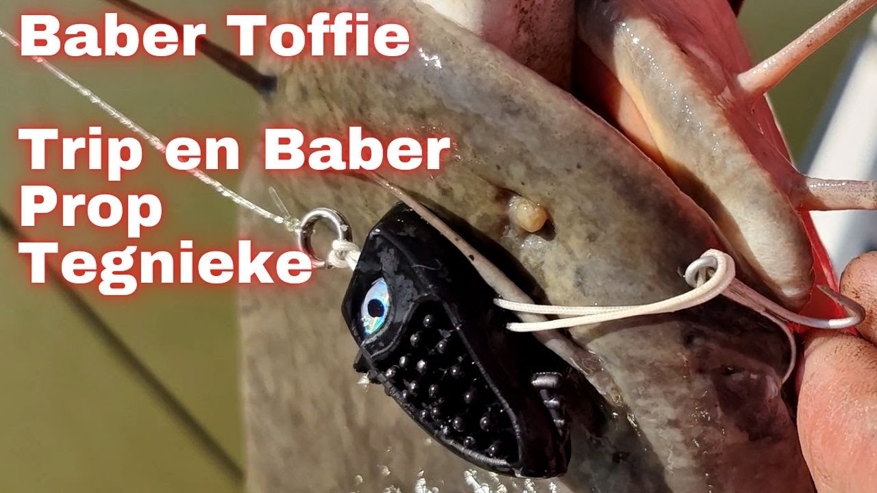 Trip en tegnieke met Baber Toffie (How to do popping/prop vir baber / catfish / barbel)