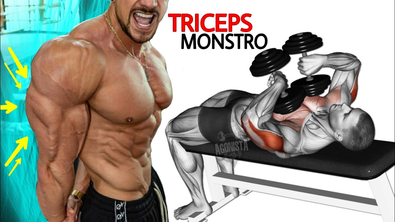 Treino de Tríceps Completo WORKOUT Gym