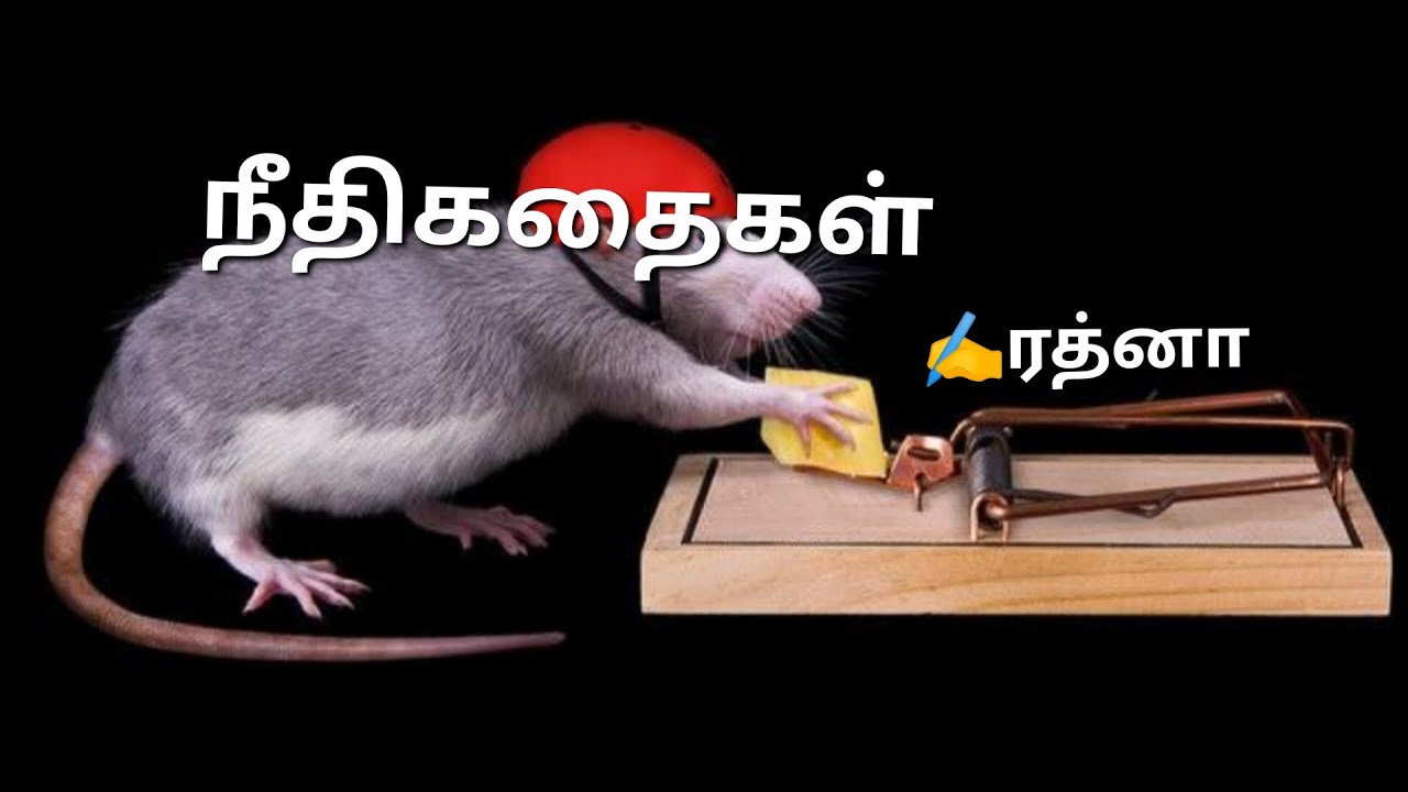 நீதிகதை /நீதிக்கதைகள் /neethikathai /neethikathaikal /ratstory /எலிகதை /moralstory /bettimestory /ta