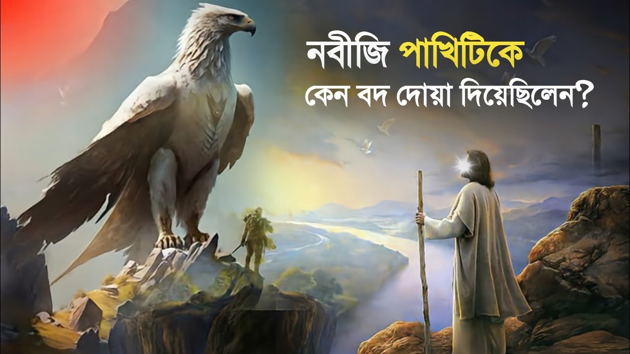 নবীজি পাখিটিকে কেন বদ দোয়া দিয়েছিলেন? || Story of Anqa Bird Bangla || Islamic Story Bangla || iRC
