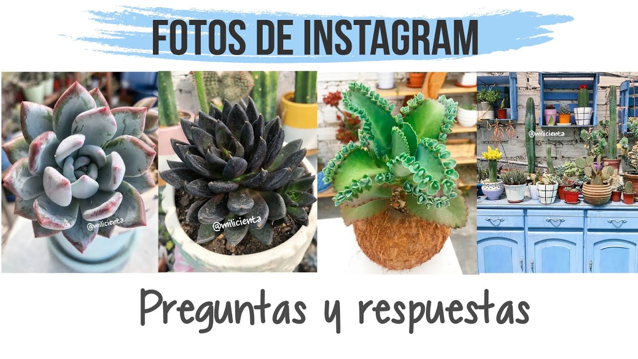 PREGUNTAS Y RESPUESTAS DE MIS FOTOS EN INSTAGRAM | MILICIENTA