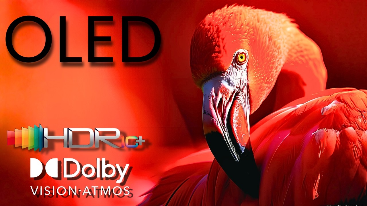 Every Pixel Feels Alive &ndash; 4K HDR Dolby Vision on OLED