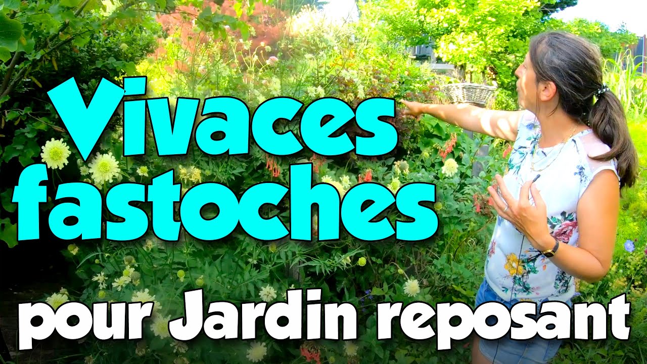 Plantes vivaces faciles pour un jardin calme et reposant (pépinière à Vichy Auvergne)