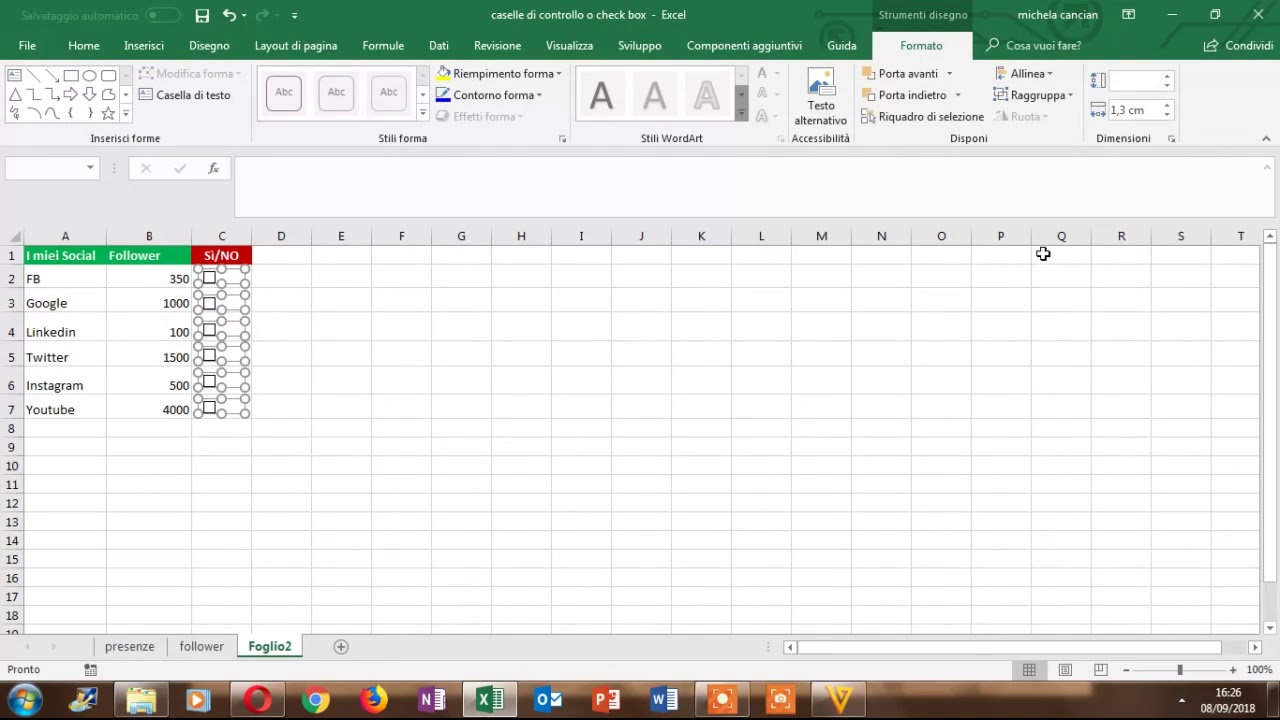 Casella di controllo (Check Box) con Excel