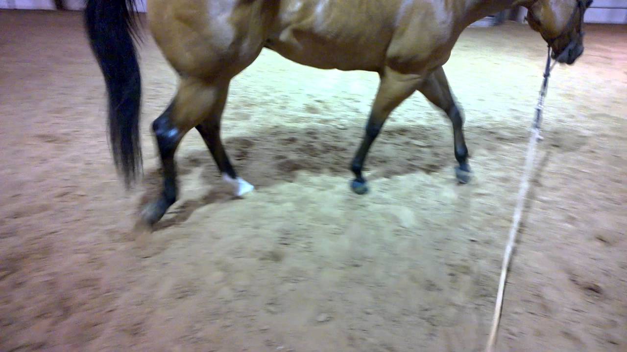A.T. Has Popping Sound in Right Fetlock Joint