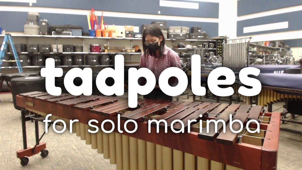 tadpoles - Marimba Solo by Sebastian Zhang