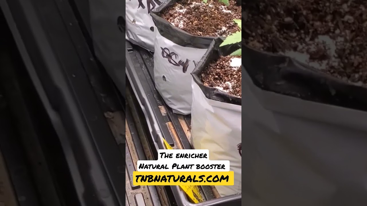 TNB Naturals - The Enricher