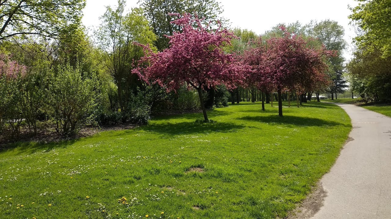 Parc de Loos