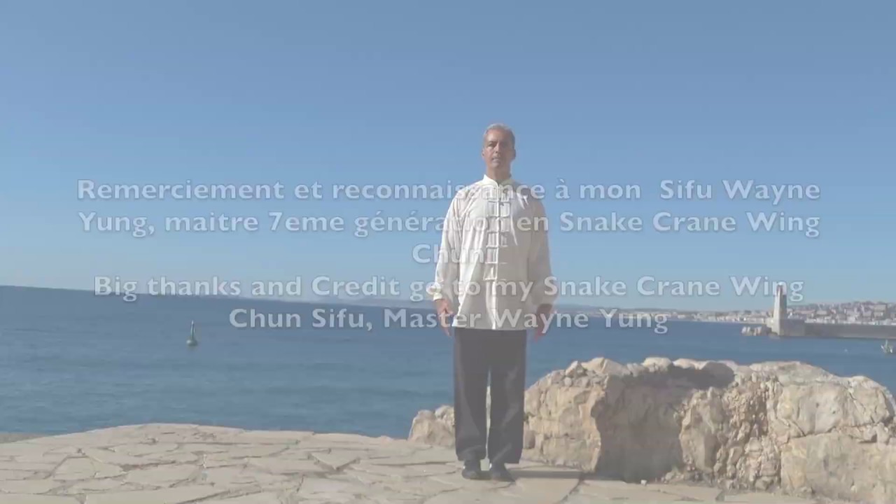 Siu Nim Tao Snake Crane Wing Chun