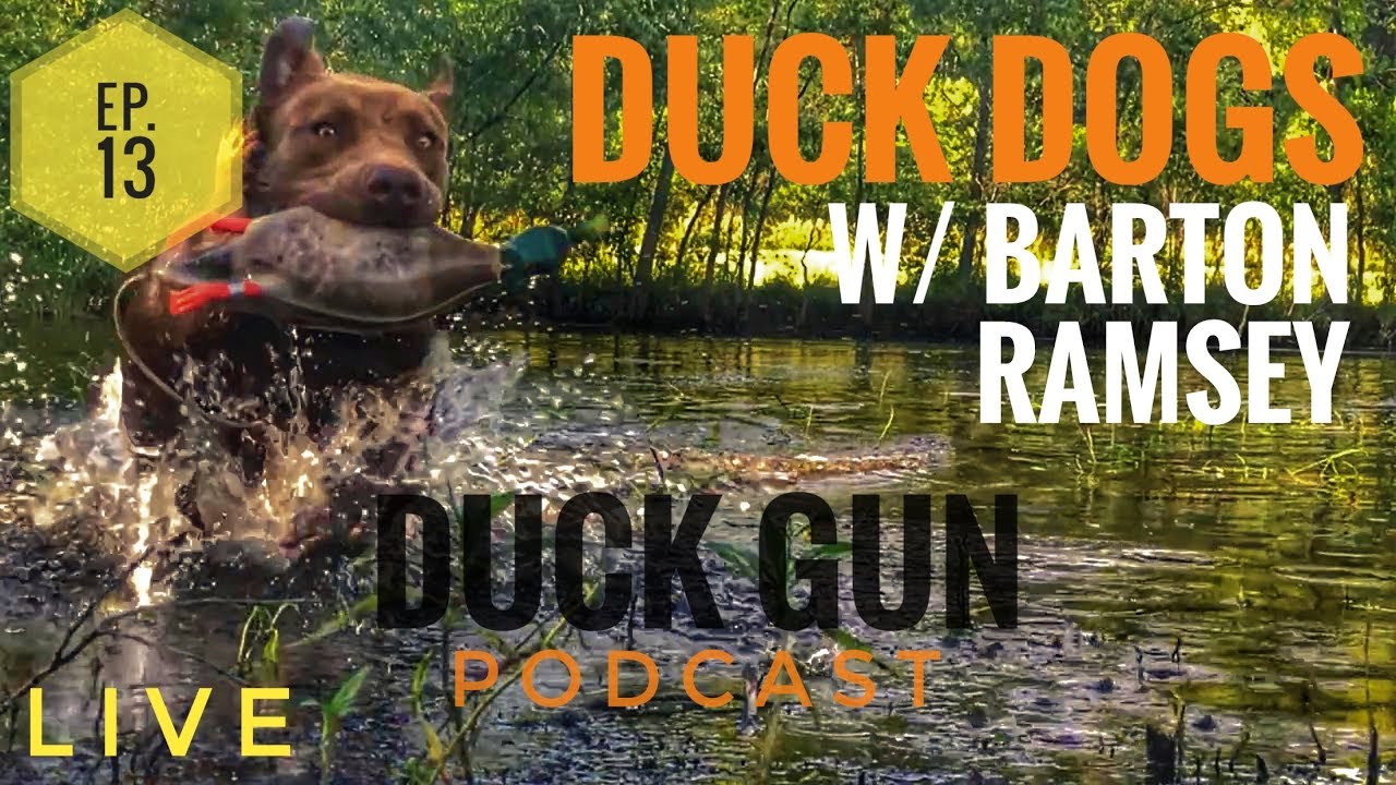Duck Gun PodCast #13: Duck Dogs w/ Barton Ramsey