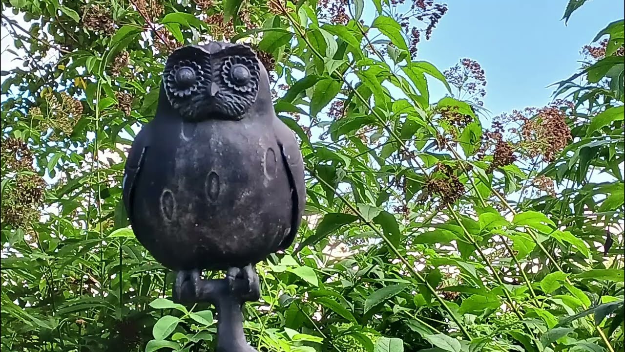 萌木の村　初秋のガーデンウォーク　2025,9,16～17　#garden #萌木の村