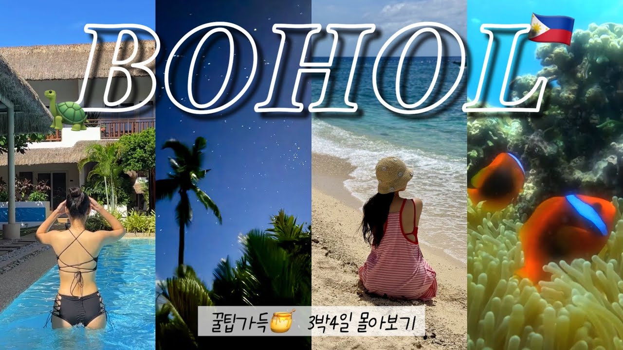 보홀 3박4일 몰아보기🇵🇭ㅣ아미한 리조트, 호핑투어, 나팔링, 기념품 꿀팁