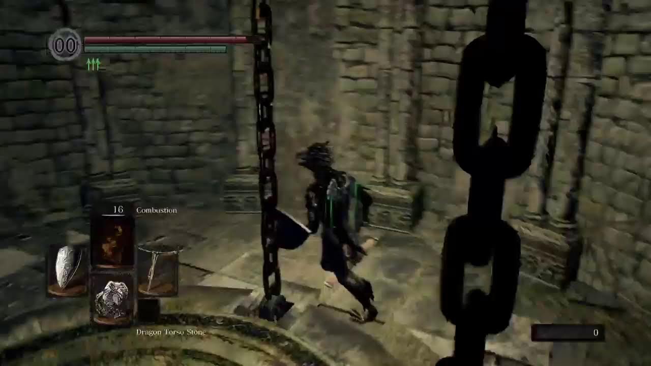 Ds1 run