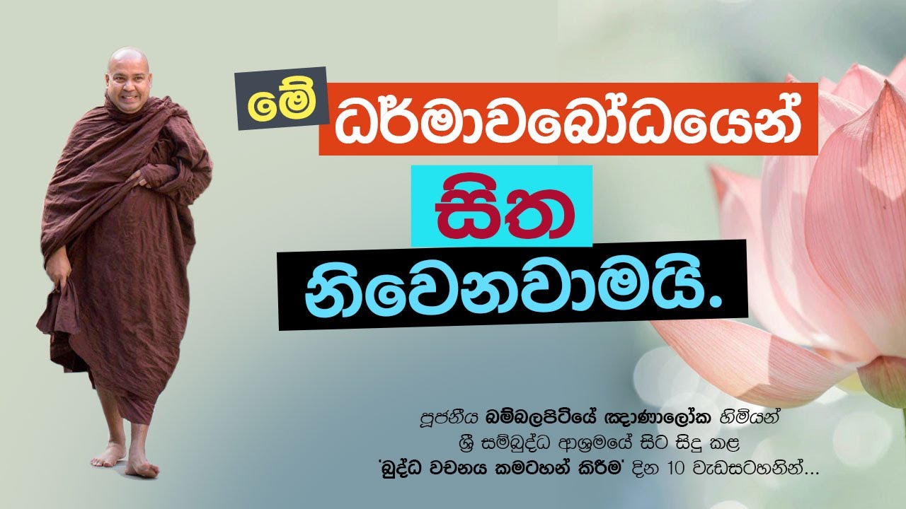 මේ ධර්මාවබෝධයෙන්, සිත නිවෙනවාමයි - Ven. Bambalapitiye Gñanaloka Thero