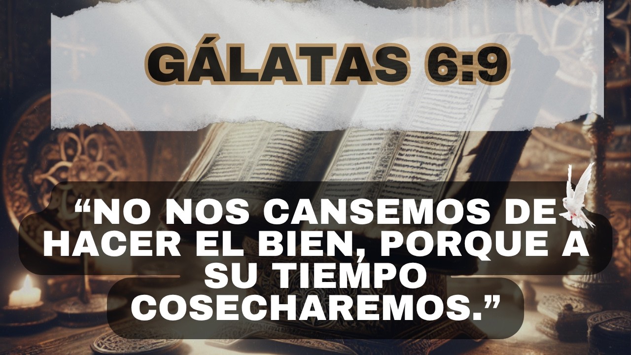 “No nos cansemos de hacer el bien, porque a su tiempo segaremos.” ☺🙏🏼☺
