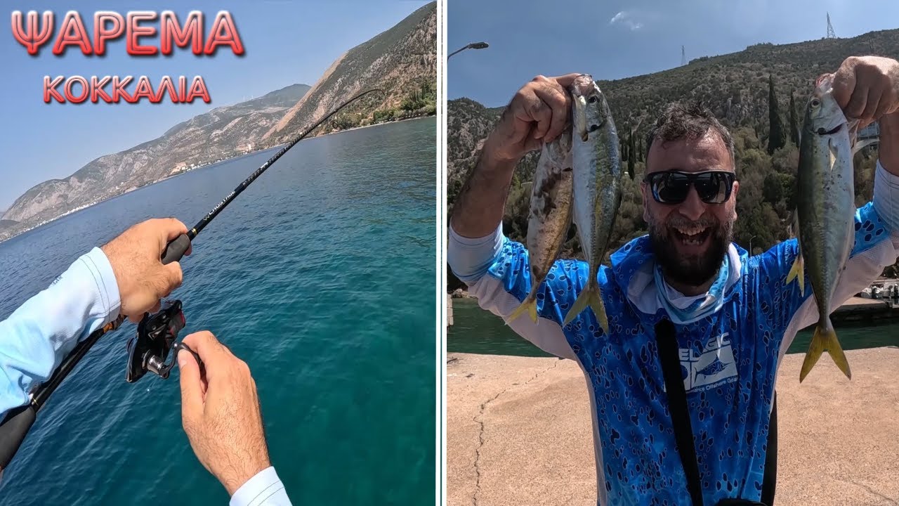 Μεγάλα κοκκάλια lrf σφαγή