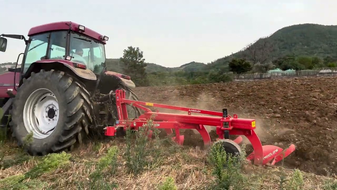 Case mx 135 & mx 100 in Aratura 2023