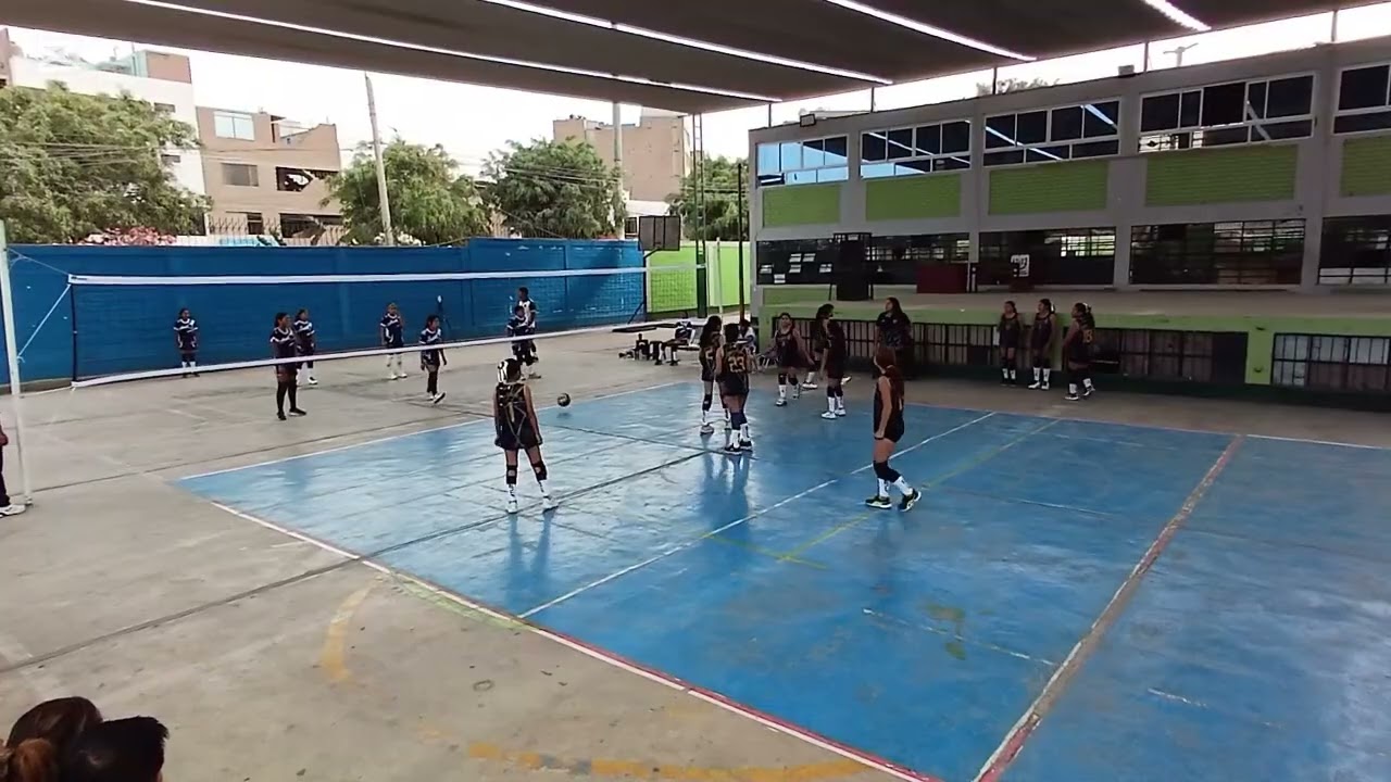 Cnp 12 vs arca