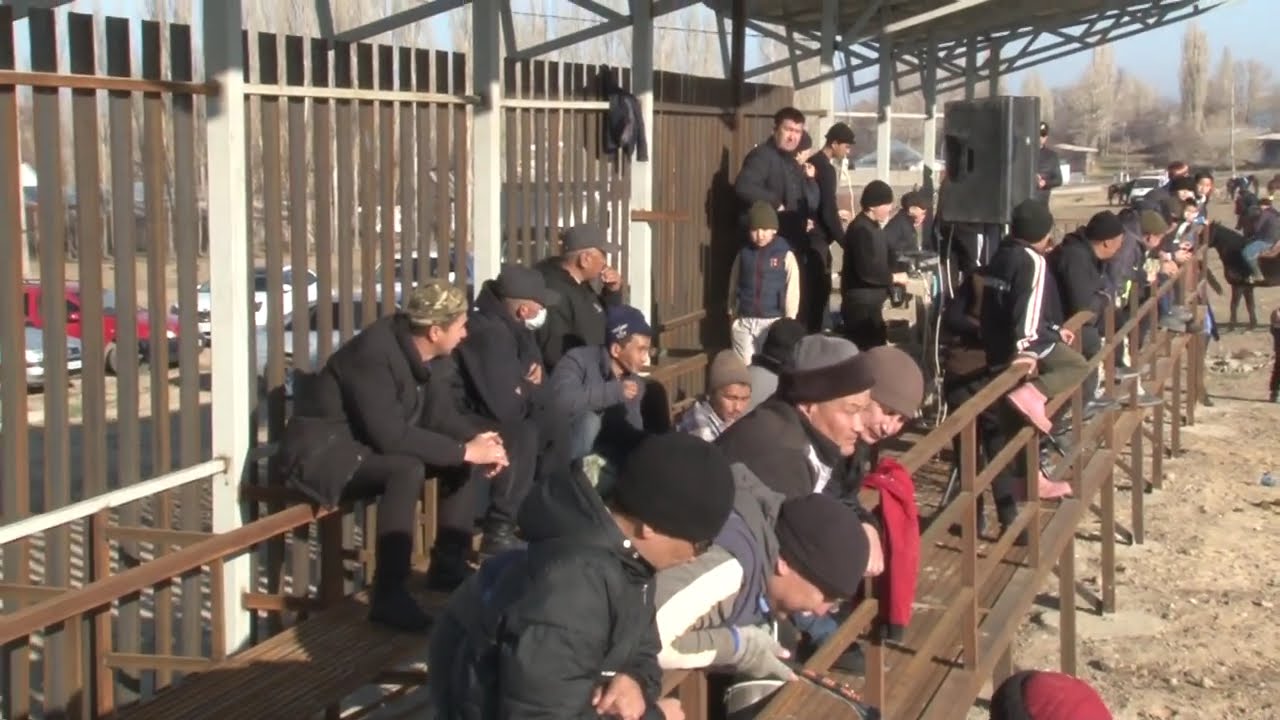 Жуалы ауданы Көкпар 23.11.2025жыл