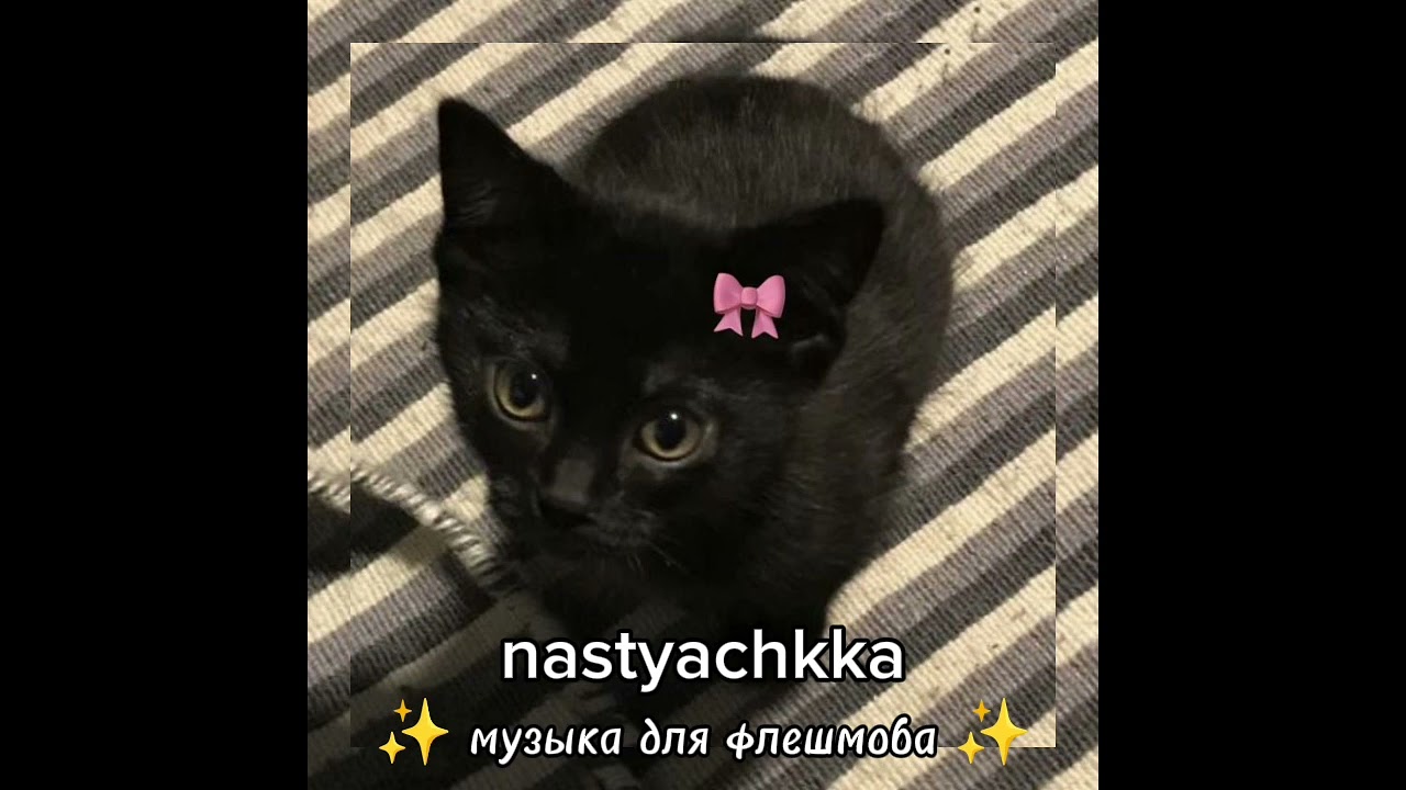 🏩 музыка для флешмоба 🏩 #музыка
