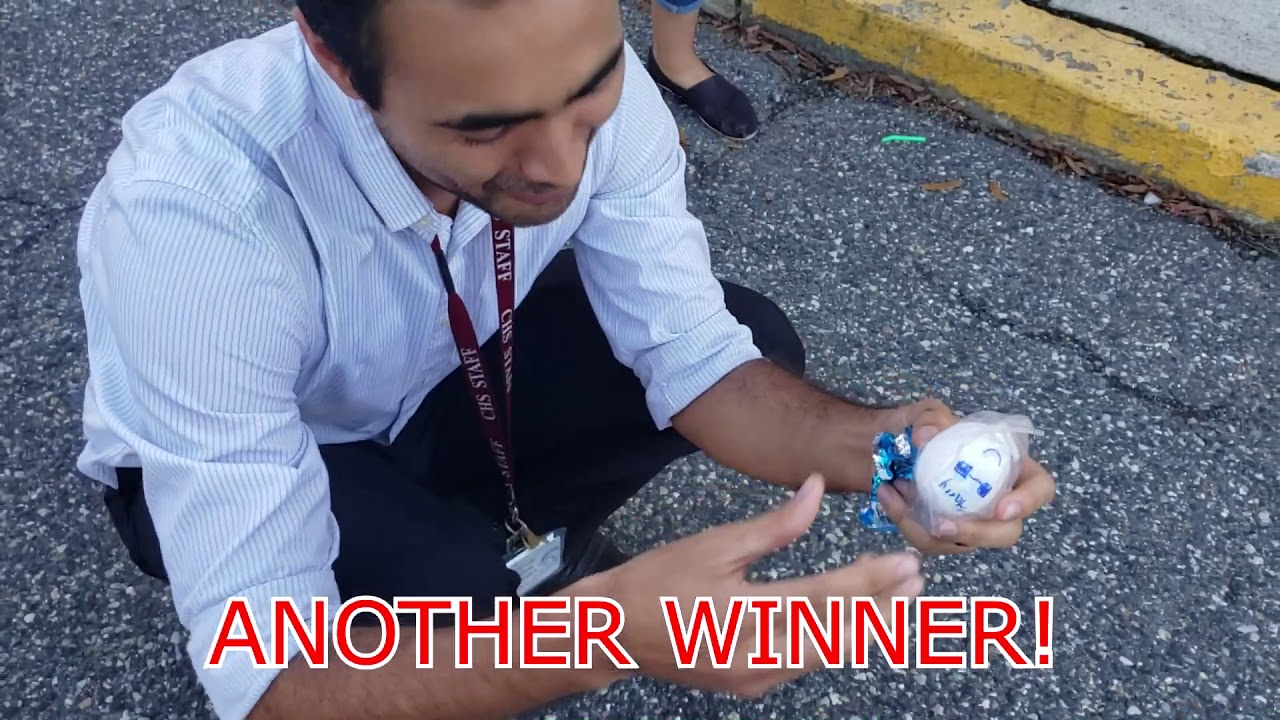 Egg Drop (Physics and Engineering: 1-Day Project)
