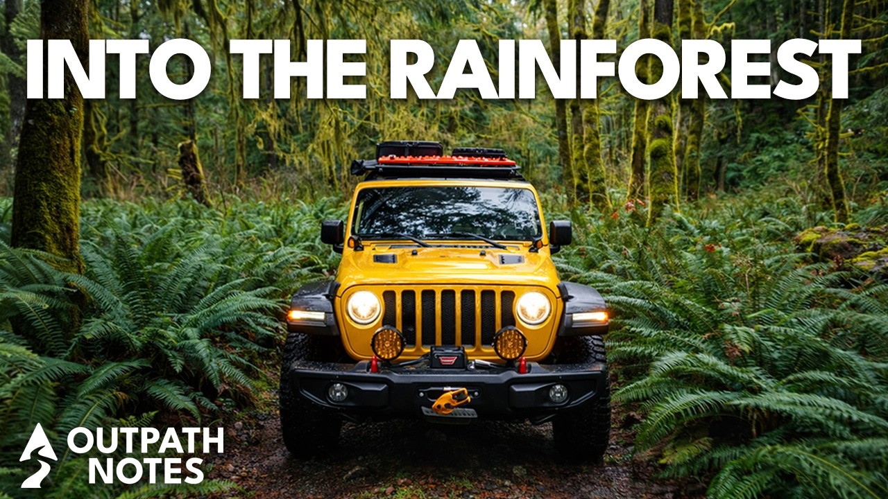 I Took My Jeep to Vancouver Island's RAINFOREST