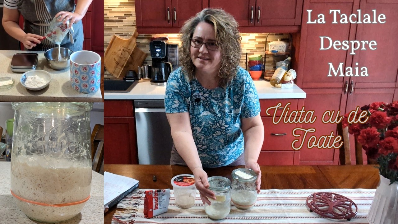 Cum folosim o Maia Naturala | Tipuri si Moduri de Folosire (Let's talk Sourdough Starter)