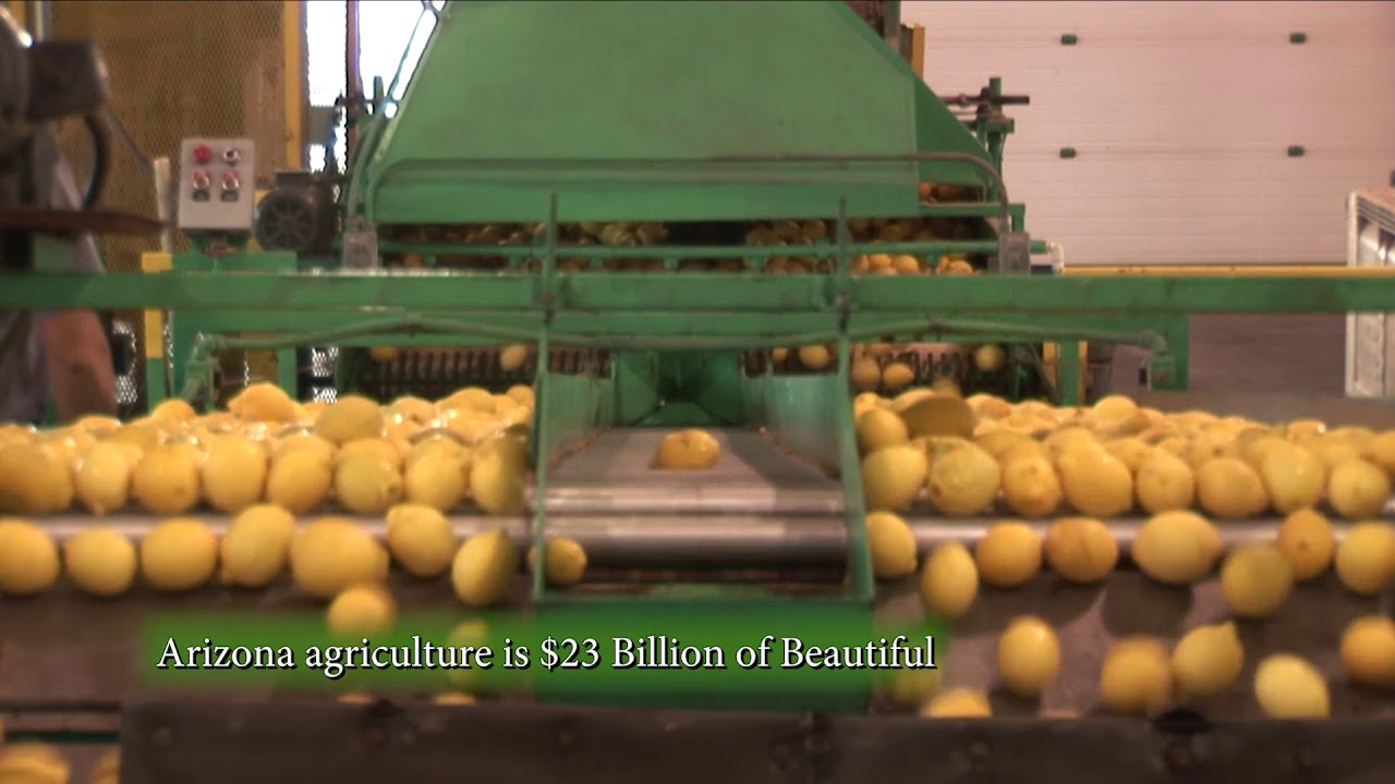 Arizona Agriculture is 23 Billion Dollars of Beautiful
