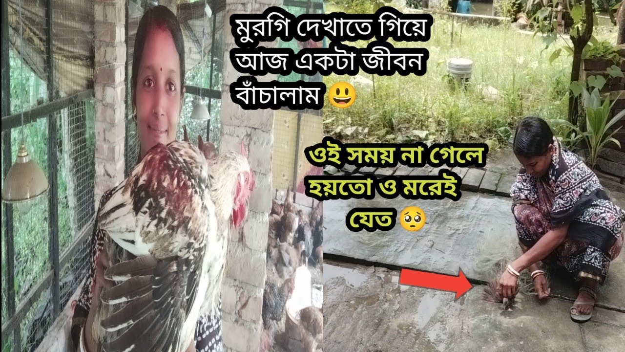 আজ  একটা প্রাণ বাঁচালাম 😱 আজ আমি না দেখলে হয়তো ও মরেই যেত 😭Sundarban Ghorkonna 