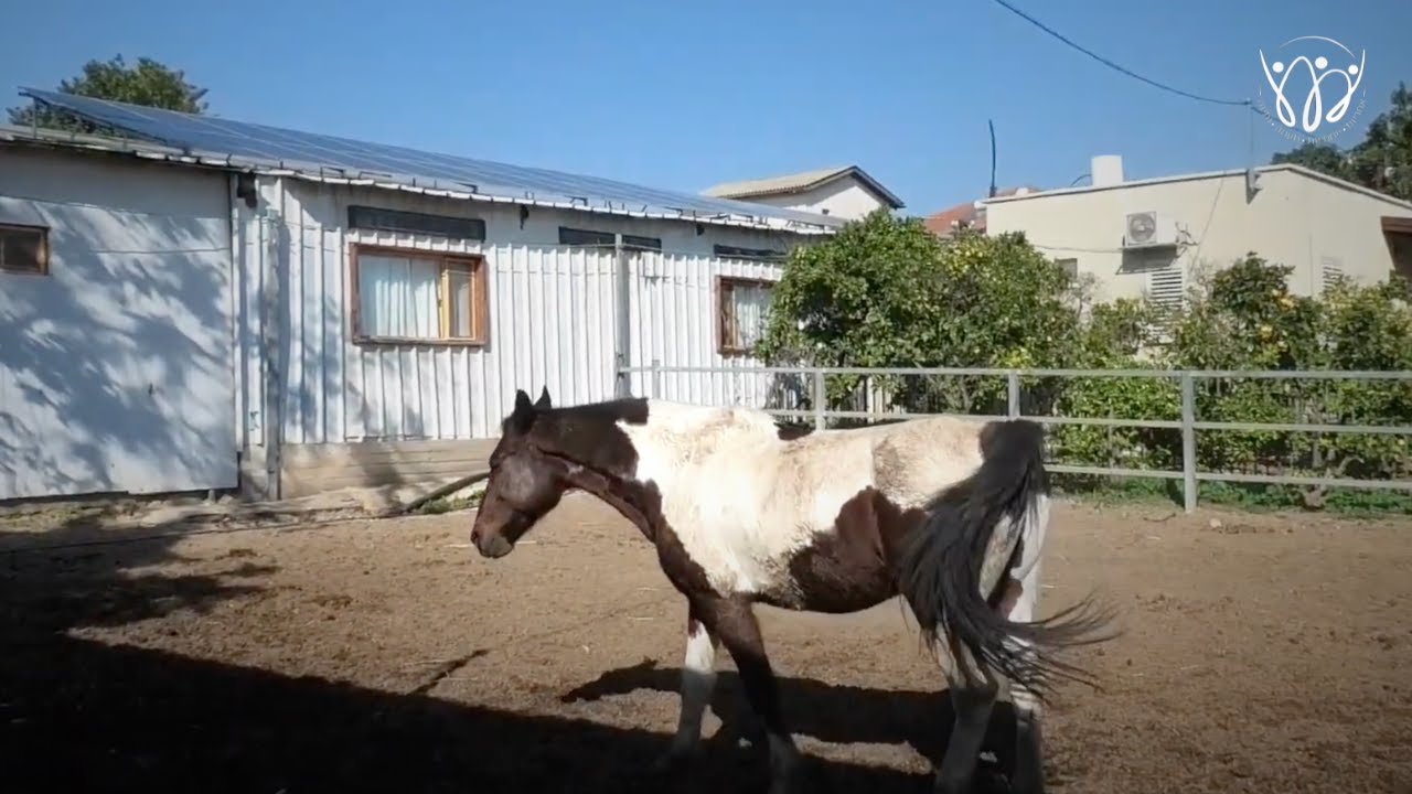 ״קאנטר״ - סרטו של איתי בכר (תשפ״ה) | תיכון ברנקו וייס אית״ן