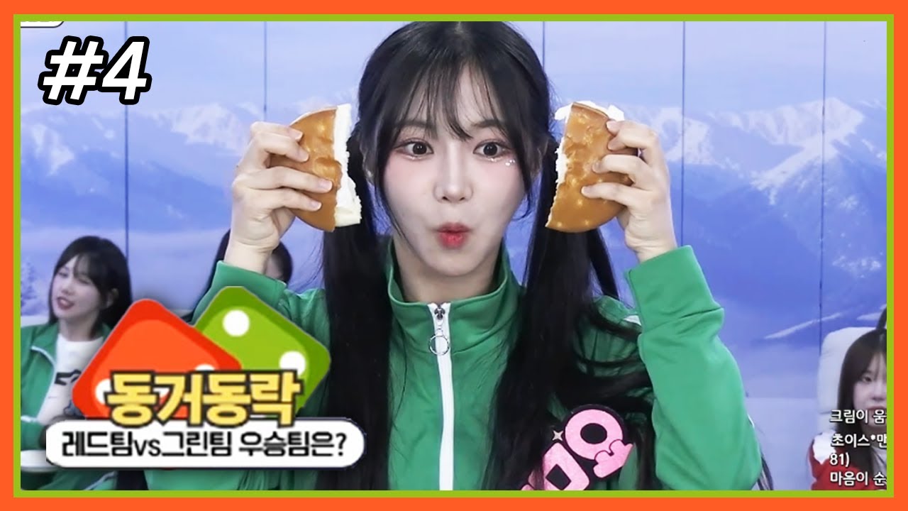 물건을 정확히 반으로 나눠라(?) l 최가네 동거동락 (F. 요미냥) 241020 [4] - KoonTV
