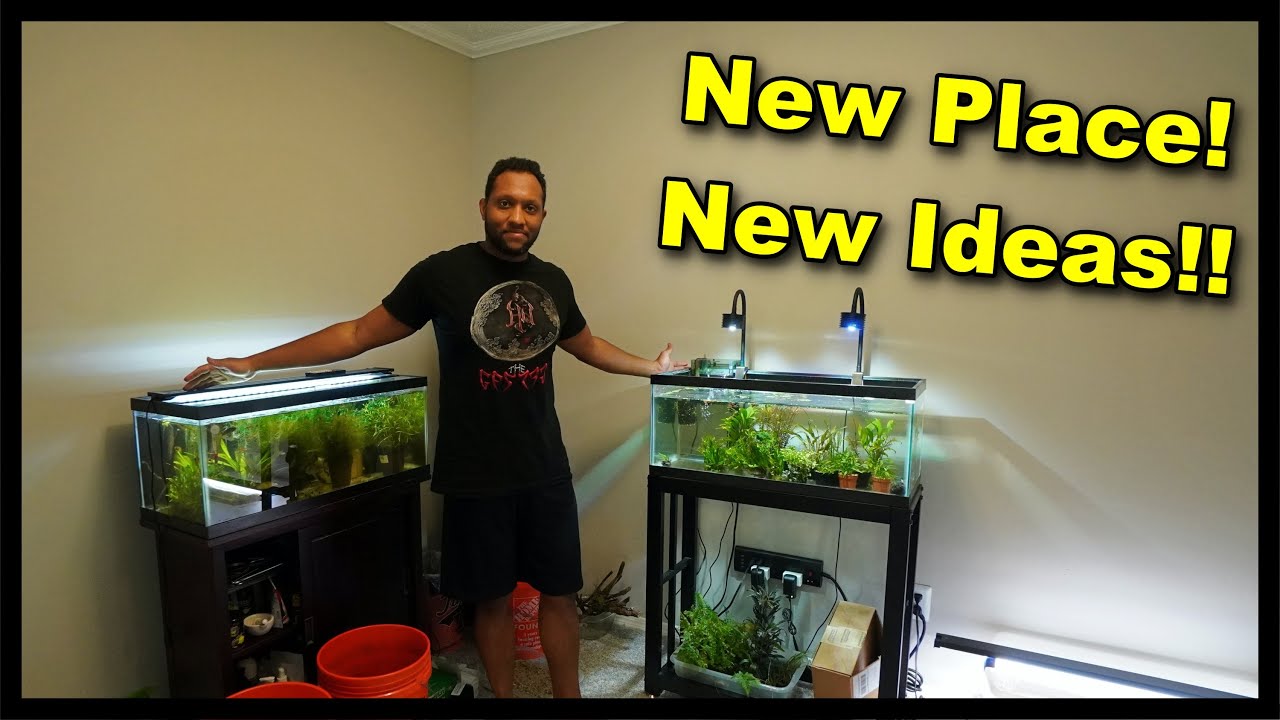 All my aquariums - Post Move Update