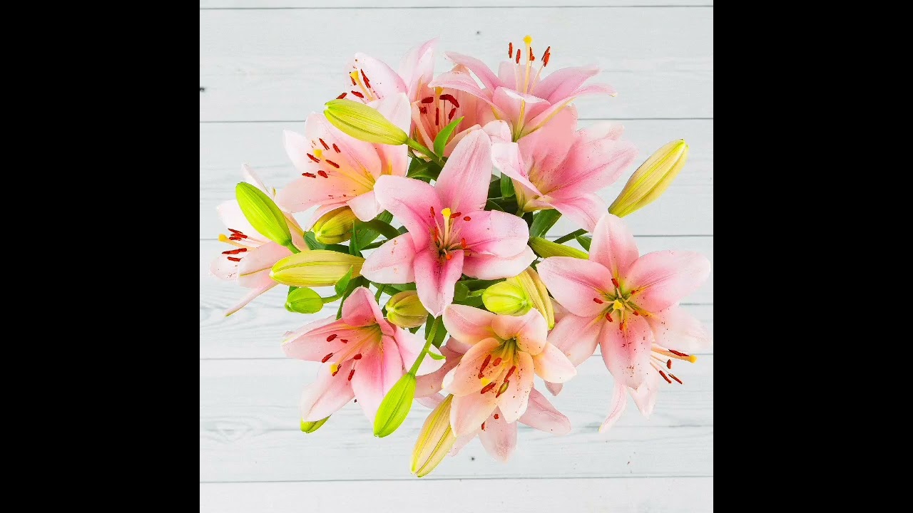 Opened by you - petra slapar