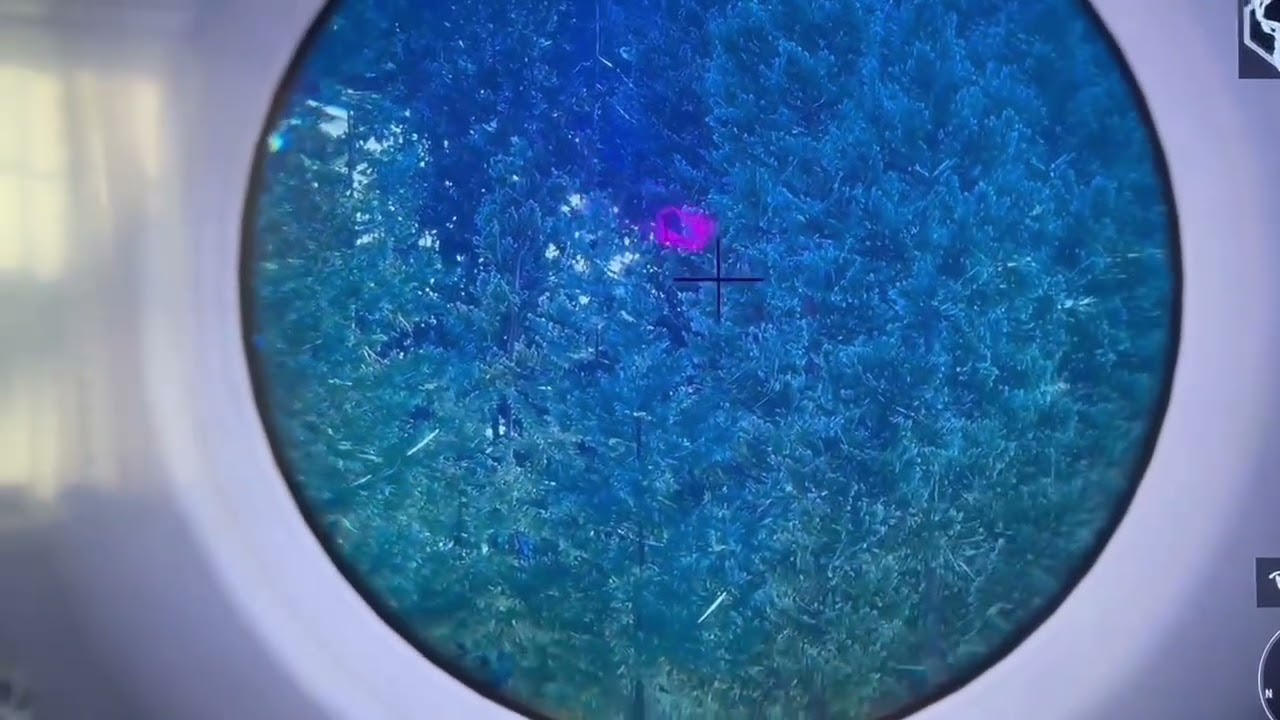 Hunter call of the wild elk