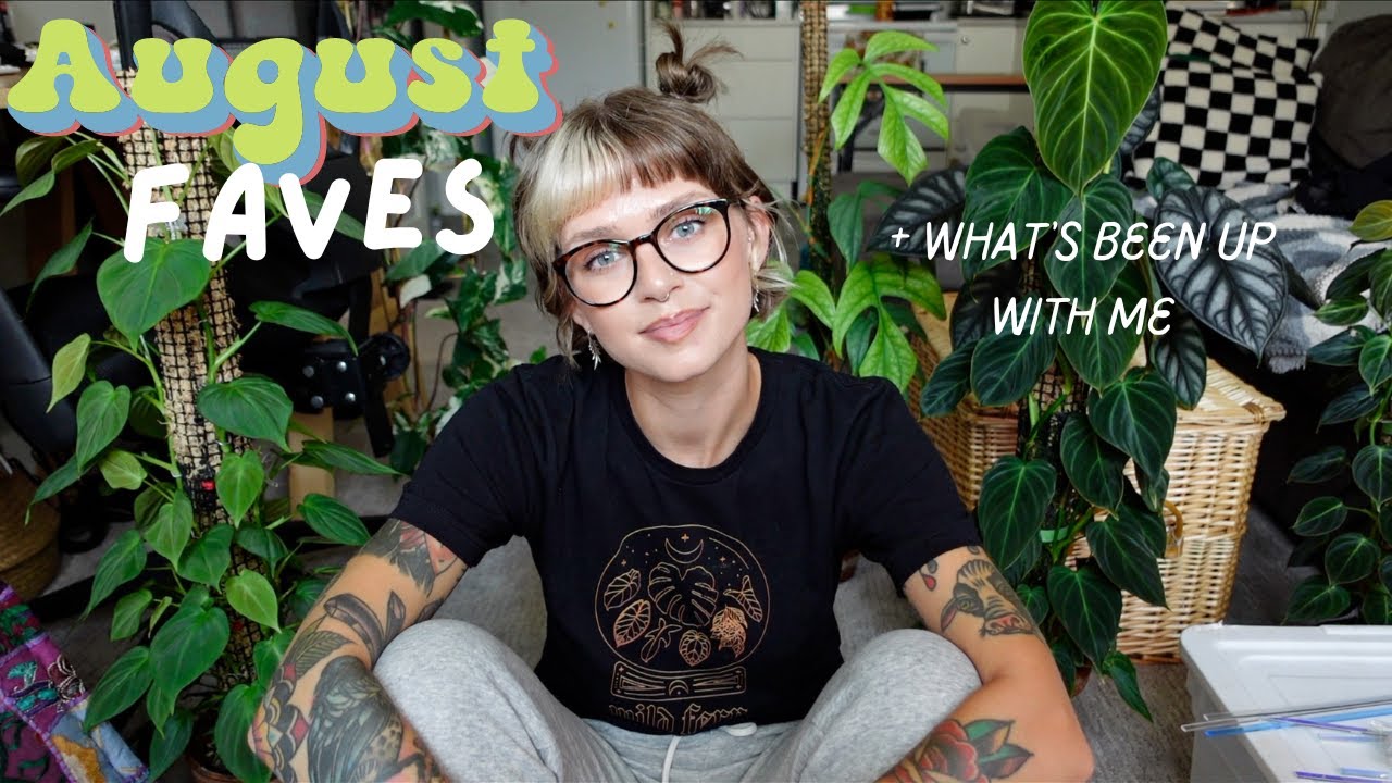 favourite houseplants of august + a tough mental health update 🖤