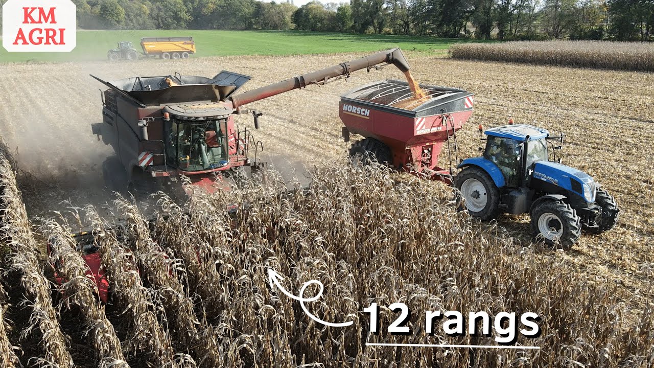 🤩 XL CORN HARVEST | CASE IH 8240 ROWTRAC & CAPELLO 12 rangs | HORSCH UW 160 😱🌽 !