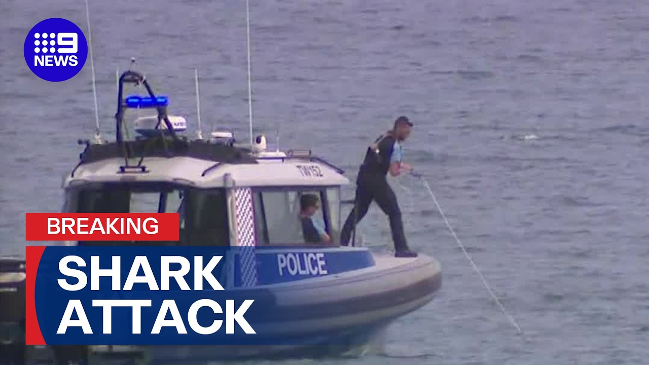 Fatal shark attack off popular Perth beach | 9 News Australia