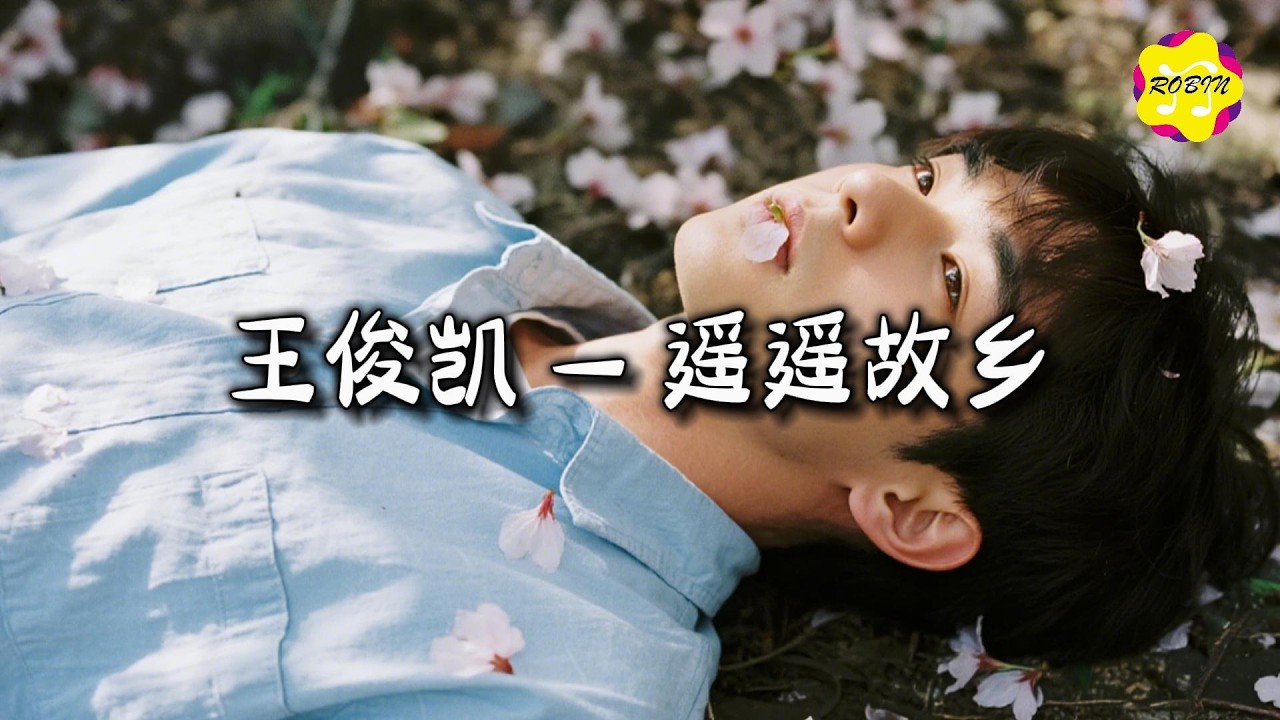 王俊凯 - 遥遥故乡『愿我历经少年游，心中留有一杯酒，回敬她 让我有归途。』【动态歌词MV】