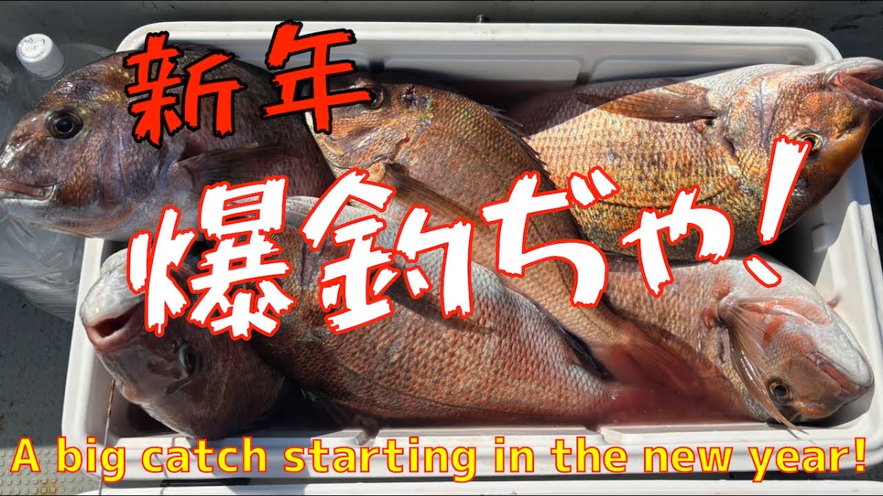【ダンゴ釣り】新年爆釣！マッスル連発超電磁ヨーヨー破壊！新春から縁起の良い動画じゃW（笑）
