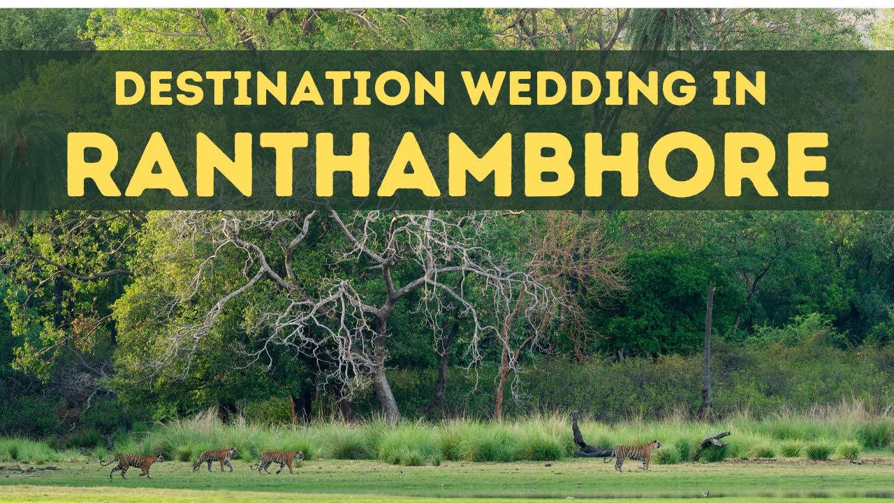 Ranthambore, Destination Wedding in Rajasthan, Best Venues & Cost