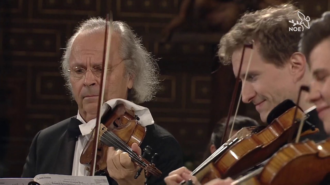 Johann Sebastian Bach concerto for 3 violin and orchestra D major