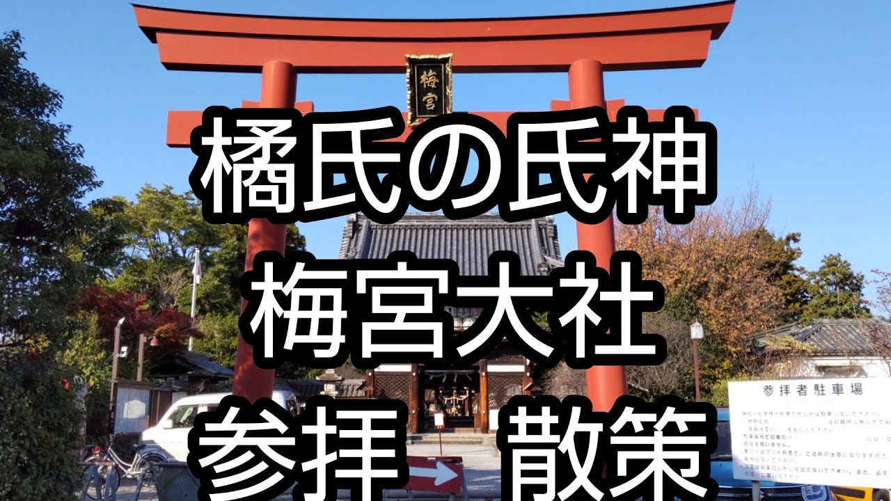 【京都歴史散策】橘氏の氏神、京都の梅宮大社へ参拝&散策致しました。