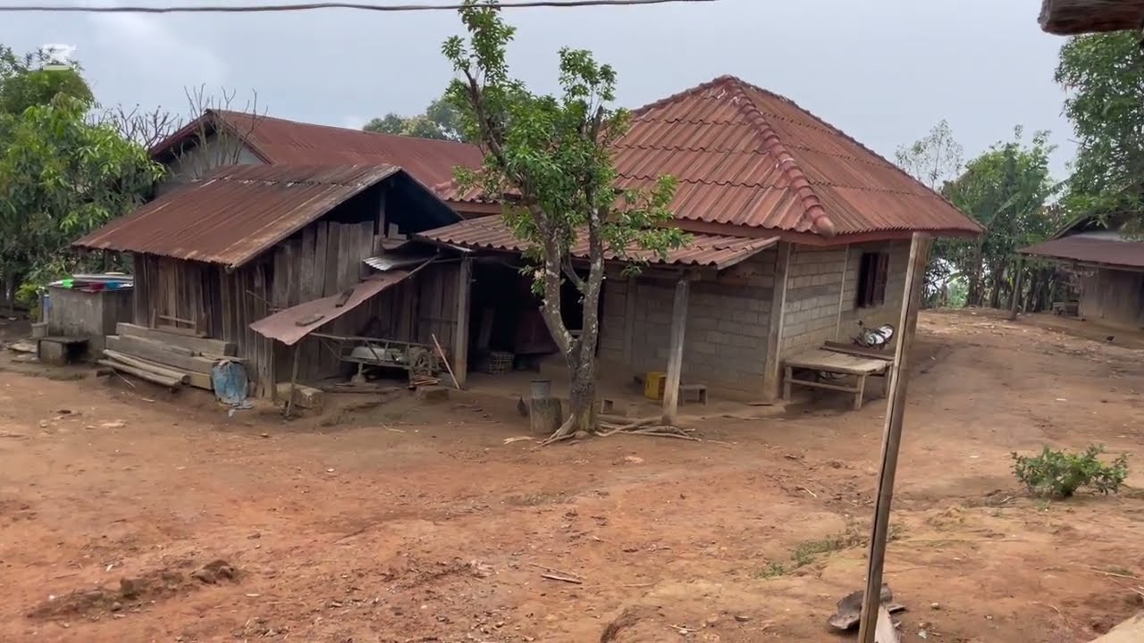 11 March 2026 Yuav lub tsev no #Deportee in Laos