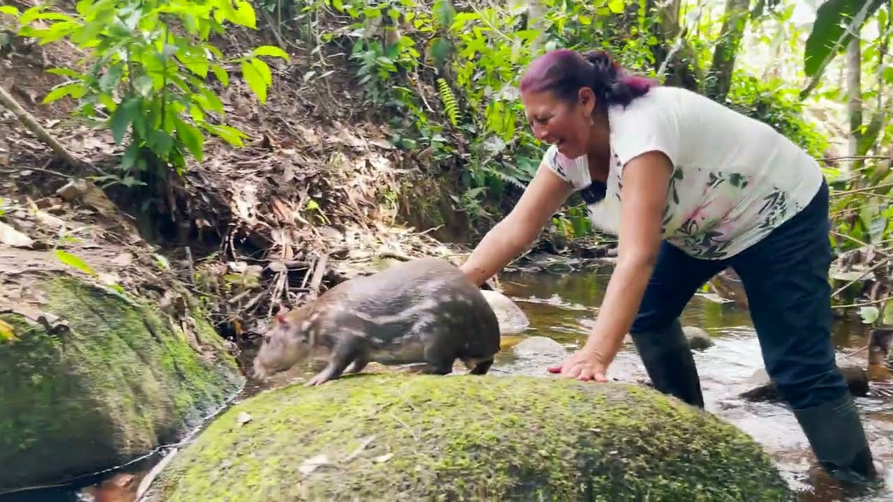 A las yamalas les gusta mucho el agua