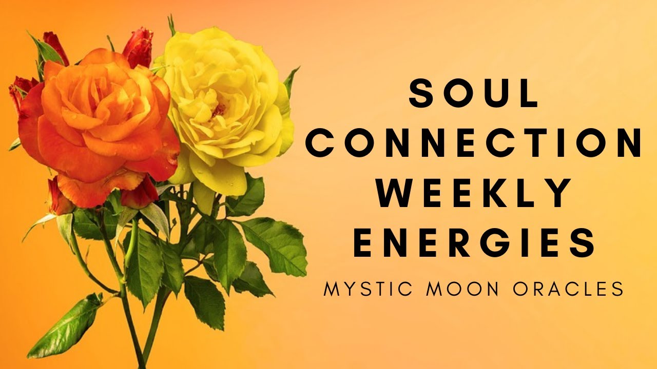 Soul Connection Weekly Energies ❤️Challenges are Becoming your greatest Blessings with this One 🙏