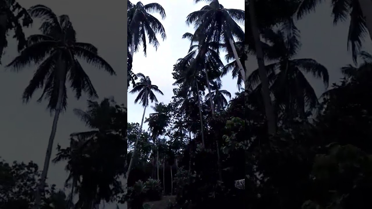 Typhoon Paeng in Philippines #shorts