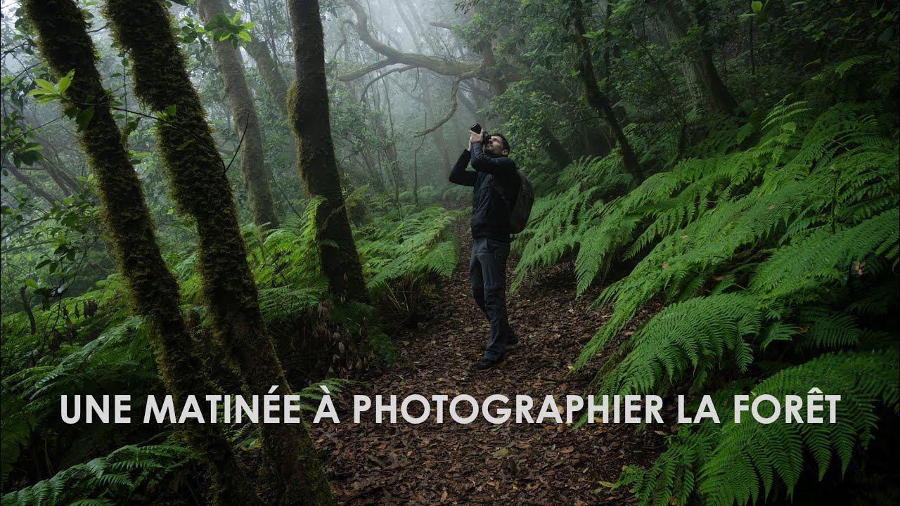 Quelques CONSEILS pour photographier la forêt | Photo de paysage sur le terrain