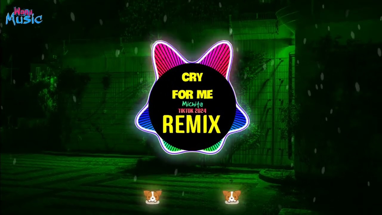 Cry For Me (DJ阿智Remix Tiktok 2025) - Michita x Ami 愛海 || Hot Tiktok Douyin DJ抖音版