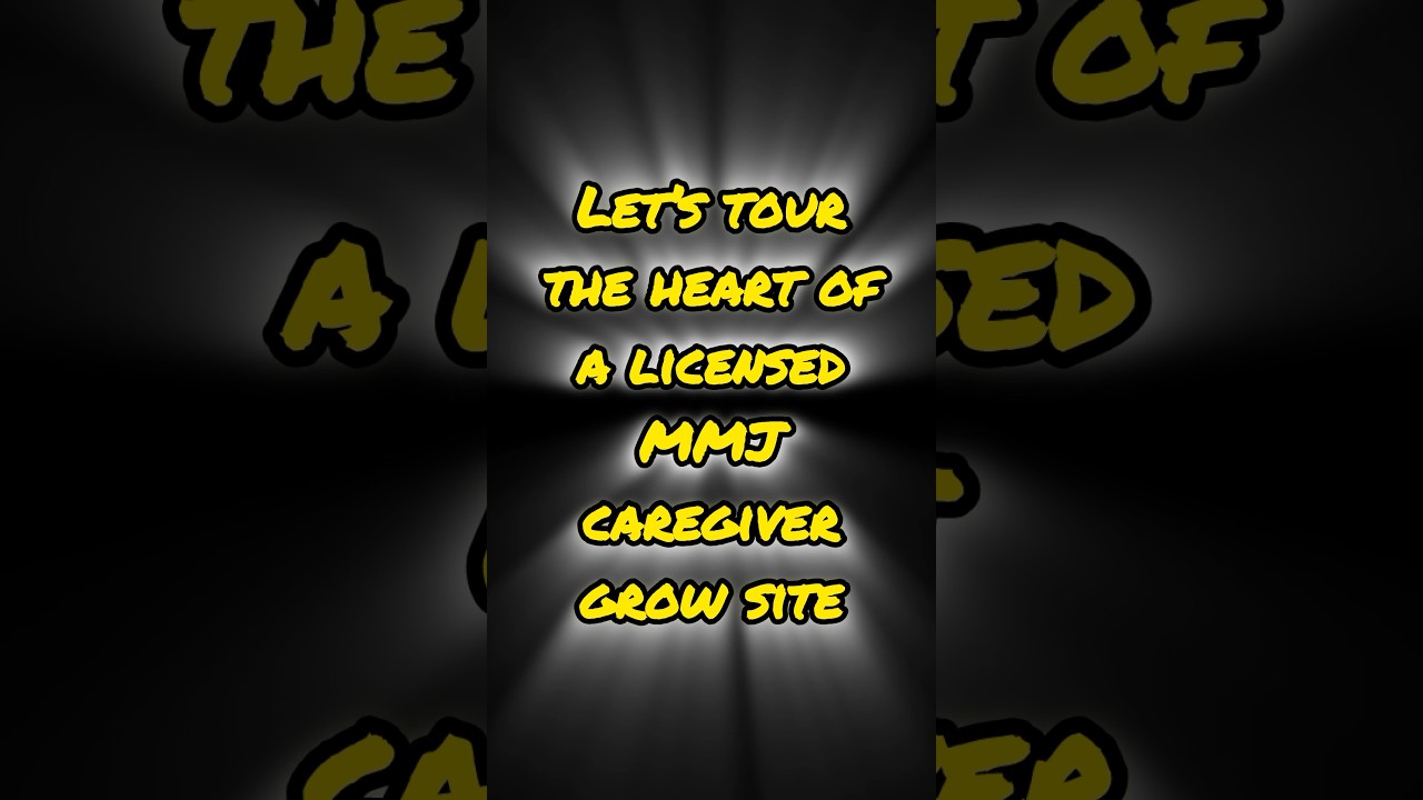 Step into the heart of a licensed MMJ caregiver operation: exclusive home grow tour!
